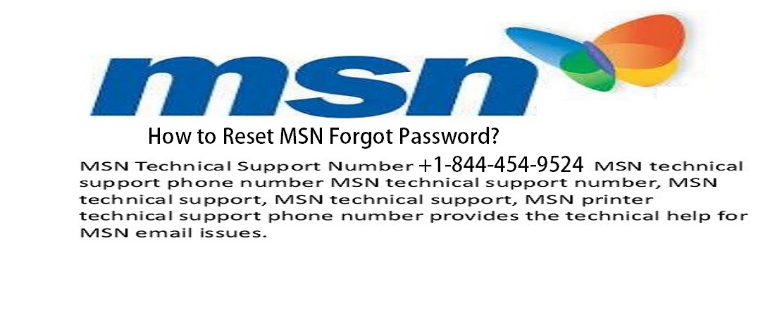 How to Reset MSN Forgot Password?